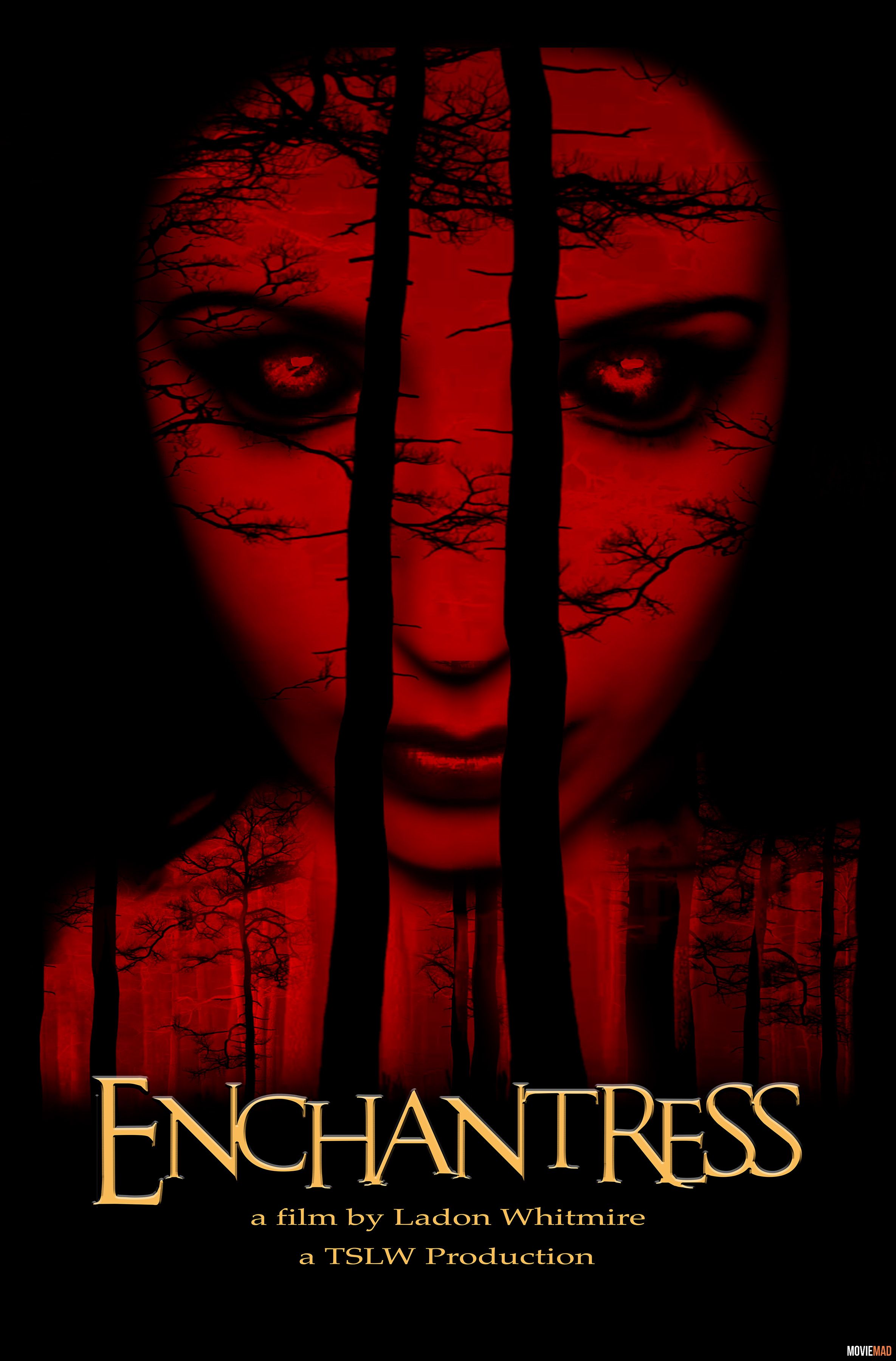 Enchantress 2022 Tamil (Voice Over) Dubbed WEBRip Full Movie 720p 480p