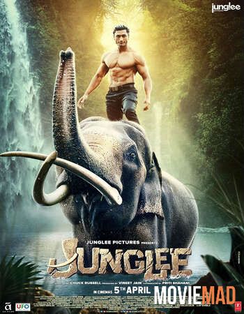 Junglee (2019) Hindi WEB DL Full Movie 720p 480p