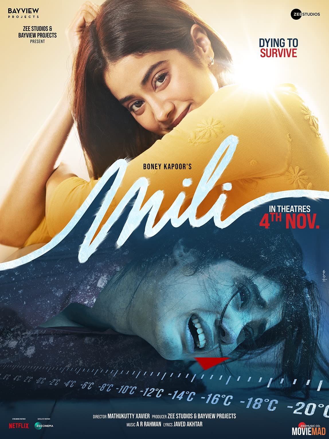 Mili (2022) Hindi NF HDRip Full Movie 1080p 720p 480p