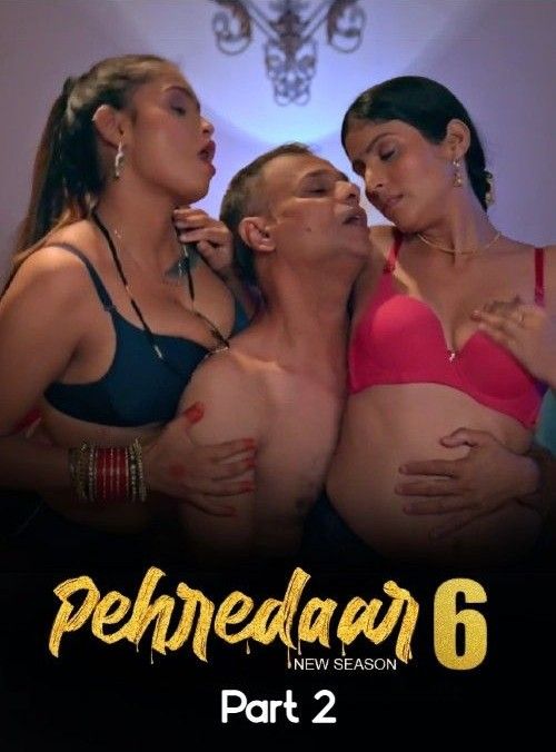 Pehredaar (2024) Season 06 Part 2 Hindi BigPlay Web Series HDRip