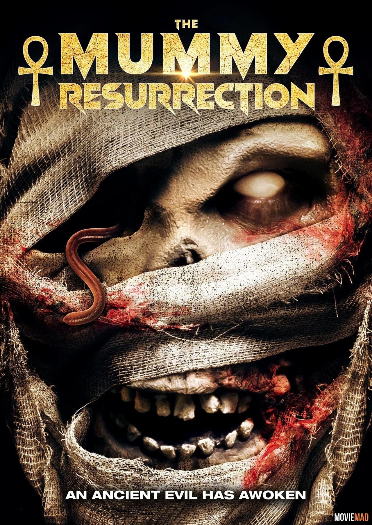 The Mummy Resurrection 2022 (Voice Over) Dubbed WEBRip Full Movie 720p 480p